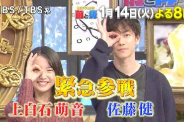 『教えてもらう前と後』1/14(火) 上白石萌音&佐藤健が緊急参戦✨ 進化系チーズトーストのお味は??【TBS】