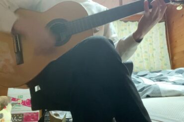 本能(椎名林檎) クラギで弾き語り