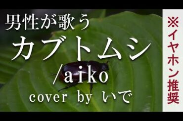 【男性が歌う】カブトムシ／aiko  cover by いで【フル】【歌詞付き】上白石萌歌さん出演「午後の紅茶」CMソング