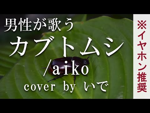 【男性が歌う】カブトムシ/aiko cover by いで【フル】【歌詞付き】上白石萌歌さん出演「午後の紅茶」CMソング 【男性が歌う】カブトムシ/aiko cover by いで【フル】【歌詞付き】上白石萌歌さん出演「午後の紅茶」CMソング