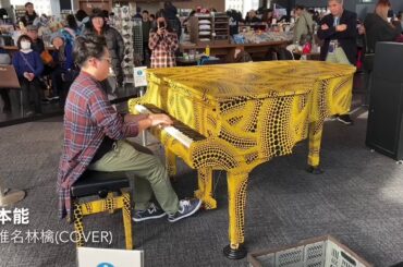 【都庁ピアノ】本能/椎名林檎(Cover)【ストリートピアノ】