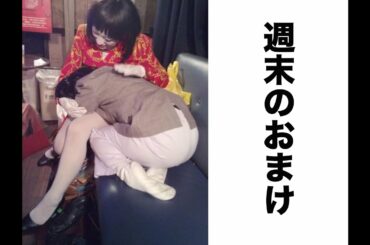 細貝さんありがとう詰め合わせ【日本エレキテル連合】