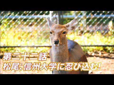 松尾アトム前派出所のりんご長者の旅　第22話