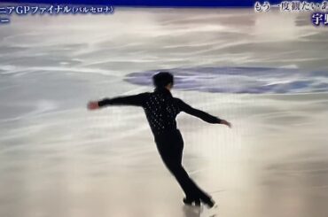 Shoma UNO-Jr. GPF2014-FS