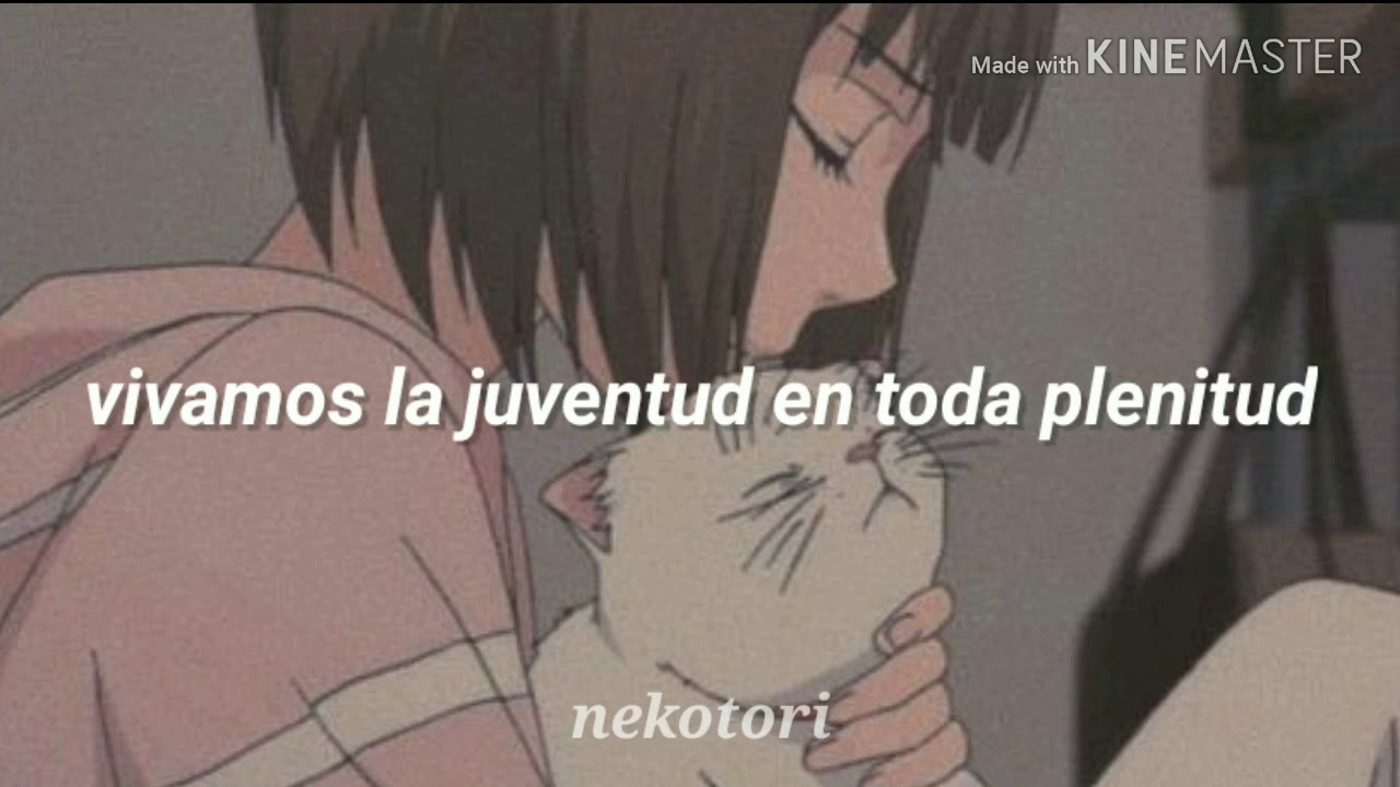 Love trip sub español AKB48