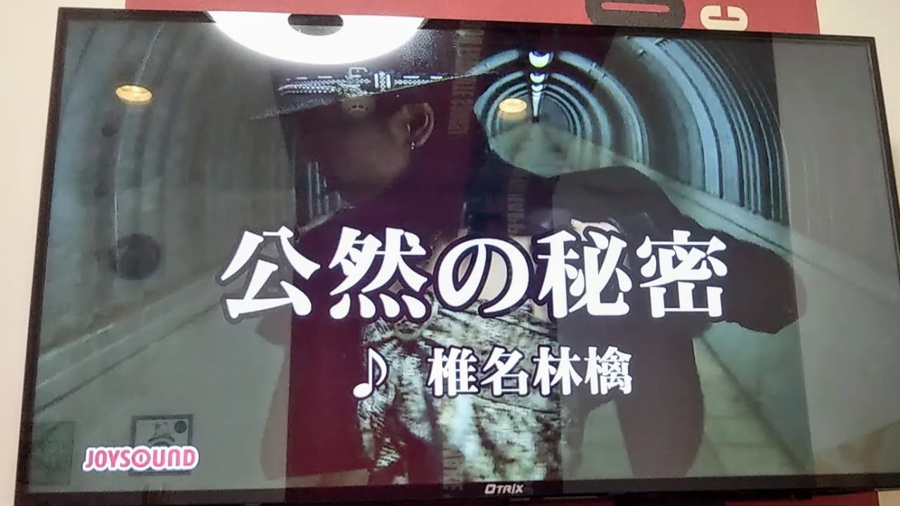 公然の秘密 / 椎名林檎 【歌ってみた】