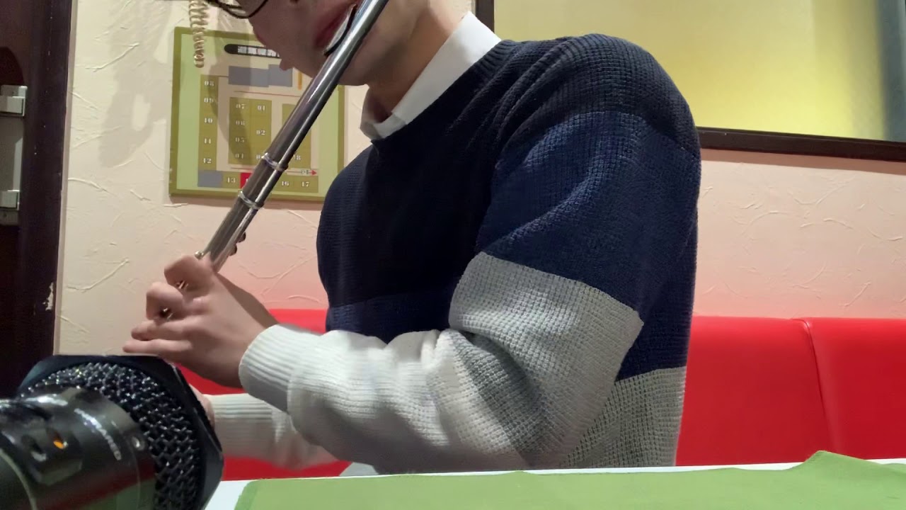 AKB48「Everyday、カチューシャ」by flute