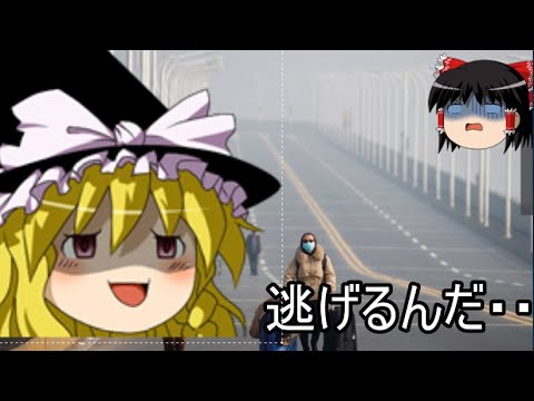 WHOコロナウィルス緊急事態宣言？！しかし、中国から忖度に裏金という名の配慮・・・