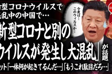 【※新型コロナウイルス】新型コロナウイルスで混乱中の中国で「新型コロナと別のウイルスが発生し大混乱」が話題！ネット「一体何が起きてるんだ・・・」「もうこれ駄目だろ・・・」 20200203