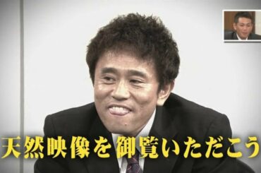《ガキの使い》『第2回浜田雅功 天然裁判(前)』 12 35