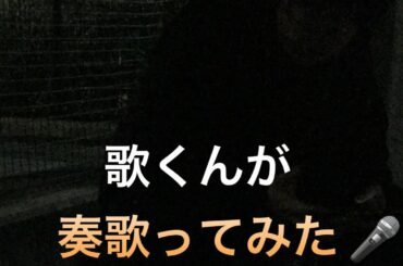 #奏 #スキマスイッチ #1週間フレンズ #映画 #山崎賢人 #川口春奈 #歌ってみた #cover #面白い #感動　歌ってみた　スキマスイッチ/奏