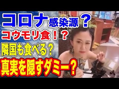 コロナウイルス感染源?あちらもコウモリを食す!…【韓国ニュース:韓国の反応】 コロナウイルス感染源?あちらもコウモリを食す!…【韓国ニュース:韓国の反応】