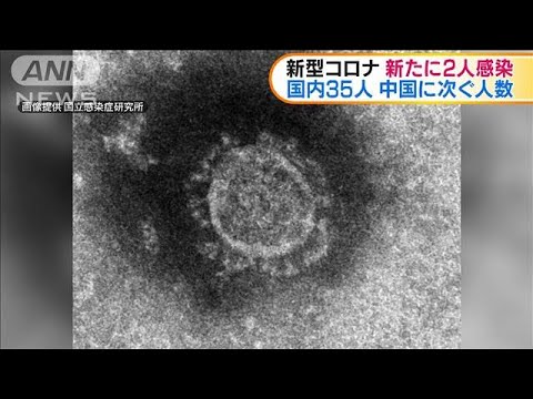 新型コロナ　国内の感染者35人に　中国に次ぐ多さ(20/02/06)