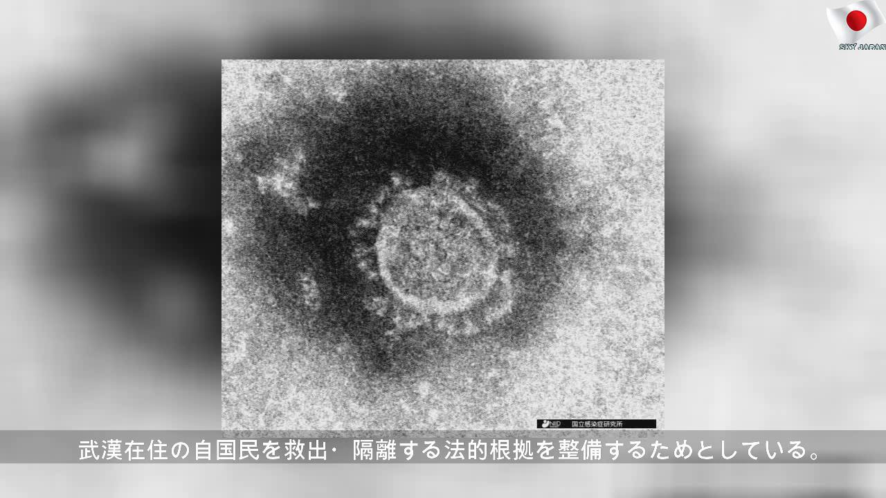 ブラジル、国家保健非常事態宣言へ
