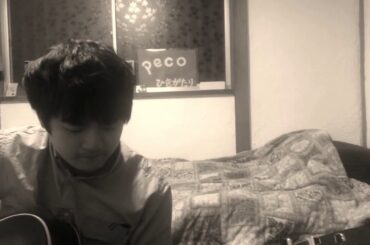 本能/椎名林檎　covered by peco