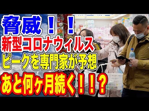 新型コロナウィルスのピークは！？…【韓国ニュース：韓国の反応】