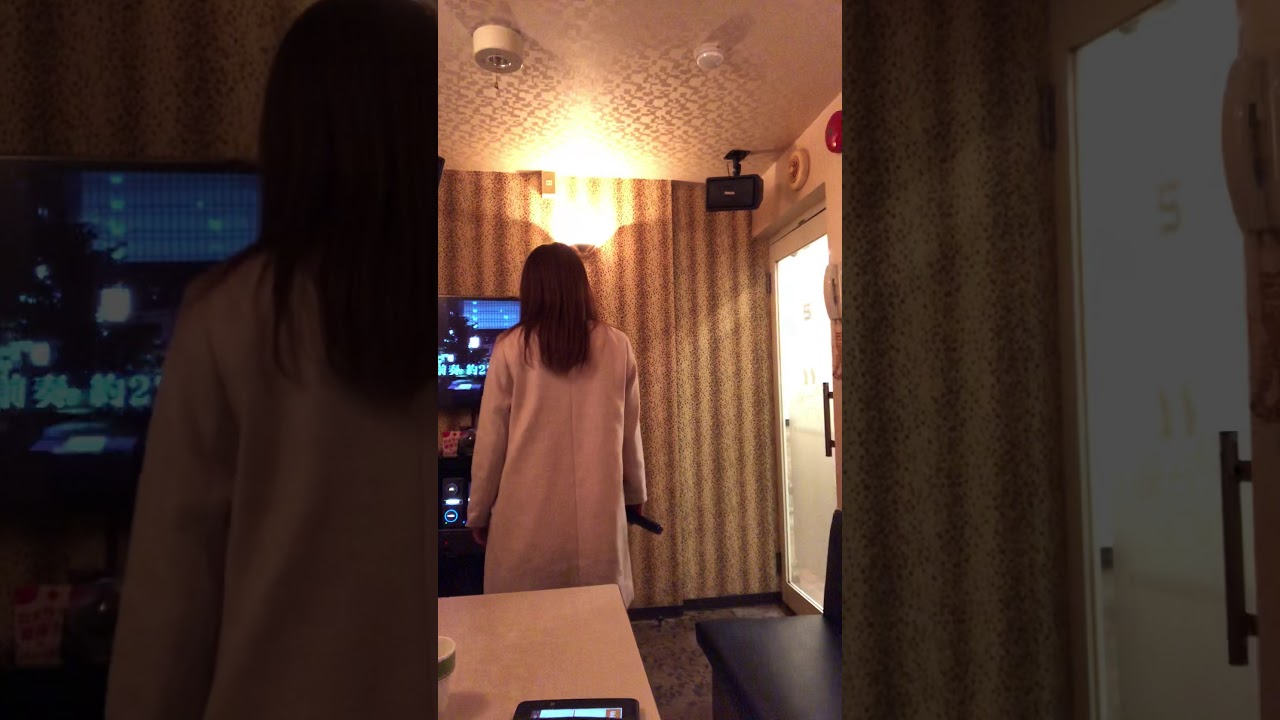 【休日に】丸の内サディスティック 歌ってみた【椎名林檎】
