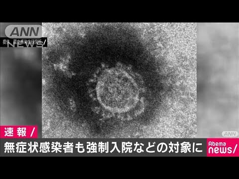 新型コロナ 無症状感染者も強制入院などの対象へ(20/02/13) 新型コロナ 無症状感染者も強制入院などの対象へ(20/02/13)