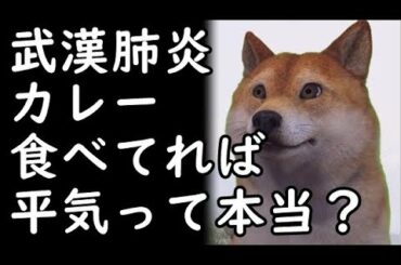 武漢肺炎で国内初の死者！新型コロナウィルスが国内でも広まりそうな気運ですが、カレー食べてれば平気って本当？ｗ他2020/02/13【kapaa!知恵袋】