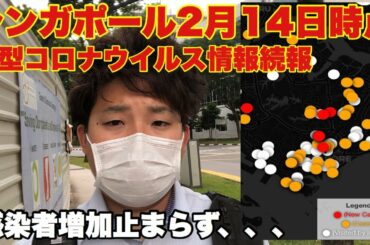 【新型コロナウイルス】シンガポール2月14日時点情報【現地採用社員vlog】