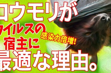 【新型コロナウイルス】コウモリが宿主である理由があった！耐性の強い生命体を通して強くなる？コウモリの秘密に迫る！