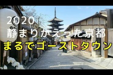 KYOTO 京都 新型肺炎の感染拡大で人がいない   ガラガラの観光スポット  『行くなら今でしょ』 coronavirus  quiet