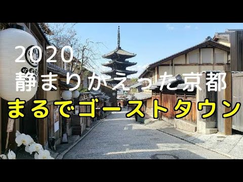 KYOTO 京都 新型肺炎の感染拡大で人がいない   ガラガラの観光スポット  『行くなら今でしょ』 coronavirus  quiet