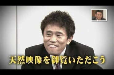 《ガキの使い》『第2回浜田雅功 天然裁判(前)』 12 352020