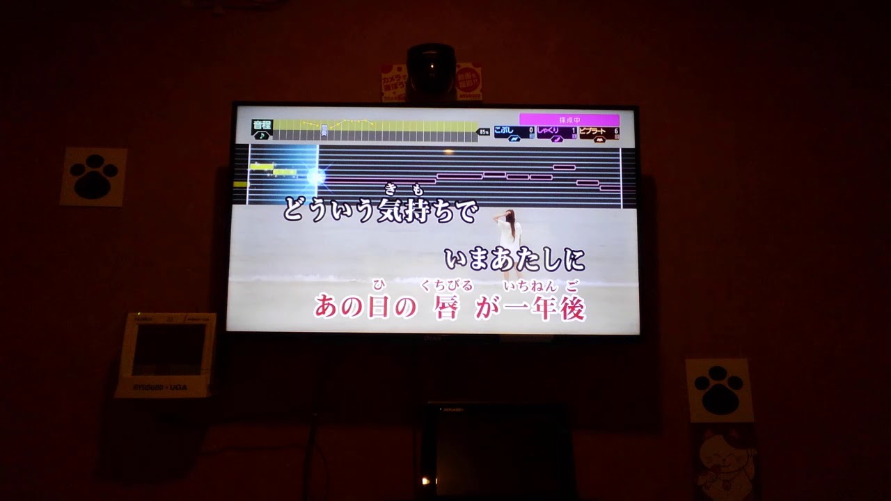 閲覧注意　カラオケ　正しい街　椎名林檎
