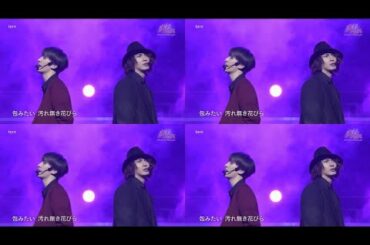 torn / 向井康二・藤井流星