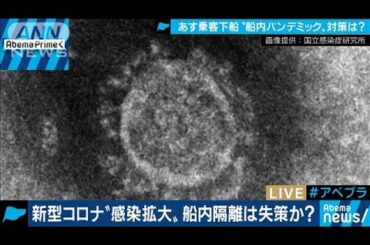 新型コロナ“パンデミック”船内隔離は失策だった？(20/02/18)