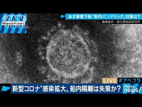 新型コロナ“パンデミック”船内隔離は失策だった?(20/02/18) 新型コロナ“パンデミック”船内隔離は失策だった?(20/02/18)