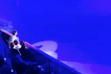 4CC Victory ceremony  Yuzuru Hanyu 🥇