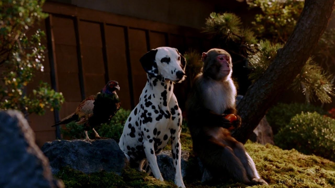 au 4G LTE WiMAX 2 「お供の秘密」篇 – 松田翔太/桐谷健太/濱田岳/有村架純(15+30sec) au 4G LTE WiMAX 2 「お供の秘密」篇 - 松田翔太/桐谷健太/濱田岳/有村架純(15+30sec)