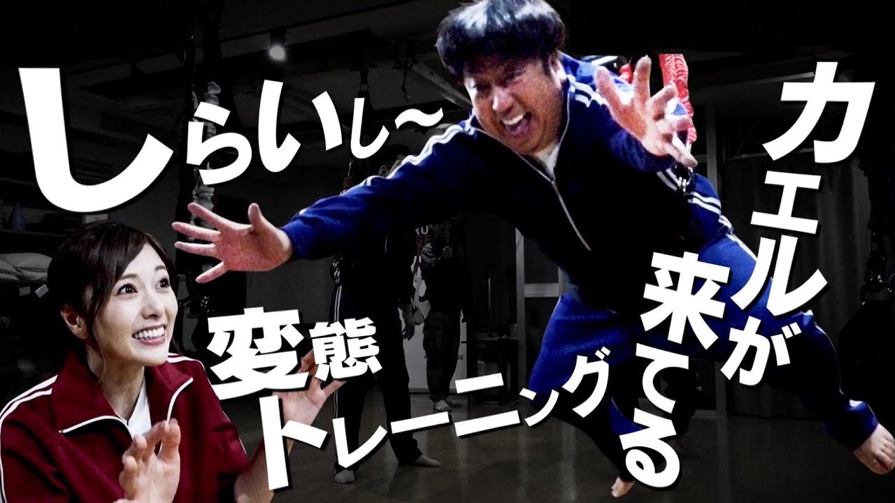 【乃木坂46 白石麻衣】ドイツ発祥の最新トレーニング【バナナマン】