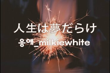 椎名林檎(Sheena Ringo) - 人生は夢だらけ(Ma Vie, Mes Rêves) [cover]