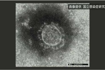 新型ウイルス 中国保健当局「エアロゾル」感染の可能性指摘