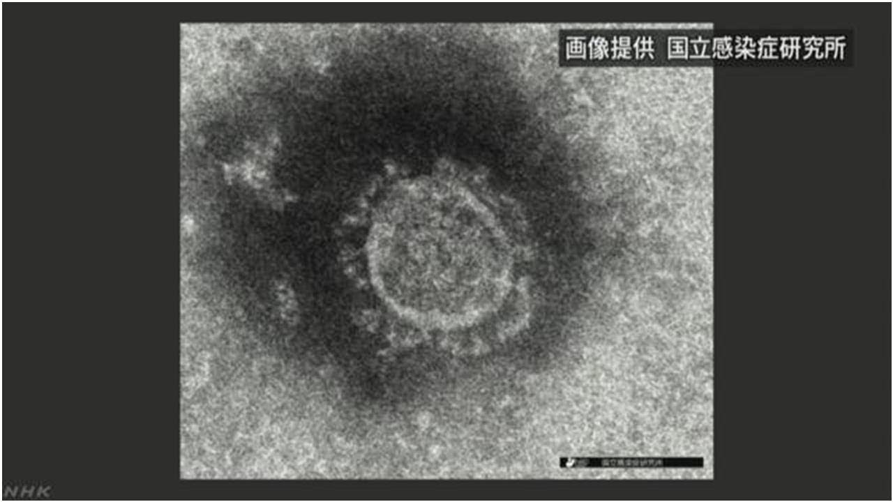 新型ウイルス 中国保健当局「エアロゾル」感染の可能性指摘
