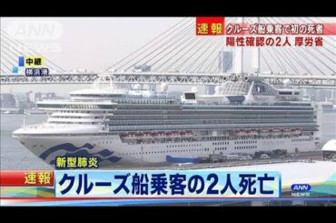 新型コロナ感染確認のクルーズ船乗客2人が死亡(20/02/20)