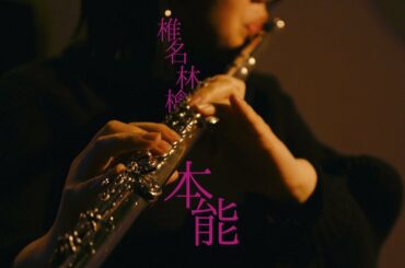 本能 / 椎名林檎 ~flute&piano~ cover