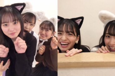 【乃木坂46】猫になった乃木坂ちゃん