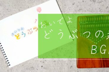 【Kalimba cover】BGM/おいでよどうぶつの森