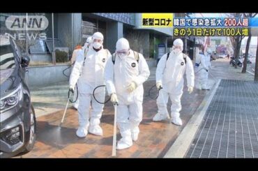 新型コロナ　韓国で2人目の死者　感染急拡大200人超(20/02/22)