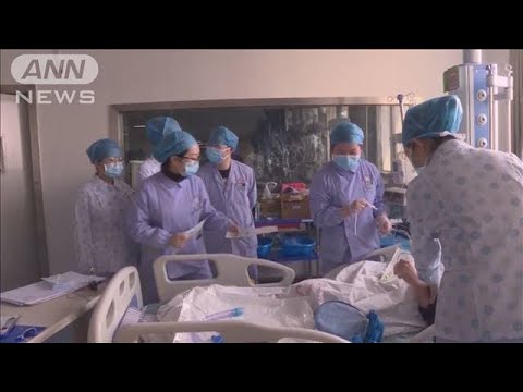 中国本土で死者・感染者増加　抗マラリア薬に光明か(20/02/19)