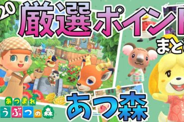 購入後に厳選するポイントまとめ！【あつまれどうぶつの森】