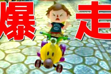 どうぶつの森カート8DXで暴れまくる！！！ - マリオカート8DX