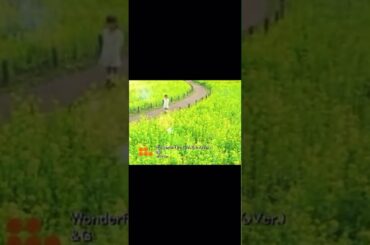 「Wonderful Life」&G(稲垣吾郎)