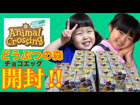 新発売【どうぶつの森 チョコエッグ】開封！Animal Crossing New Horizon 任天堂ゲーム⭐️姉妹の初挑戦！