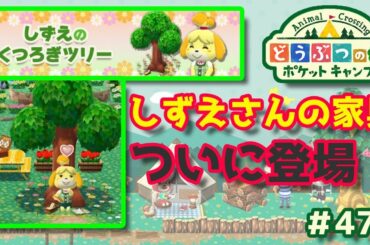 【ポケ森】【ライブ】しずえさんの家具ついに登場！#471【どうぶつの森：ポケットキャンプ】