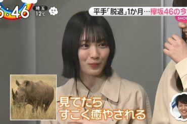 【欅坂46】新センター候補は動物好き。これはだいぶ可愛いぞ…【森田ひかる】